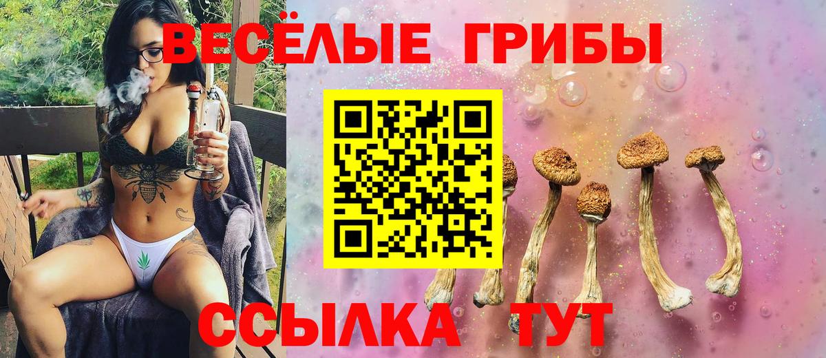 Псилоцибиновые грибы Magic Shrooms Каспийск